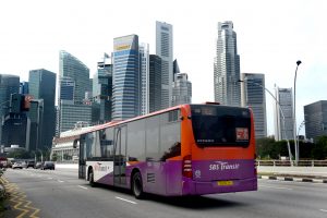 SBS Transit Bus