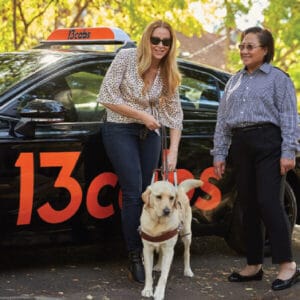 Taxi Point To Point Mobility